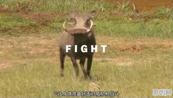 年轻人为什么焦虑情绪席卷年轻人？记忆科学给出了答案