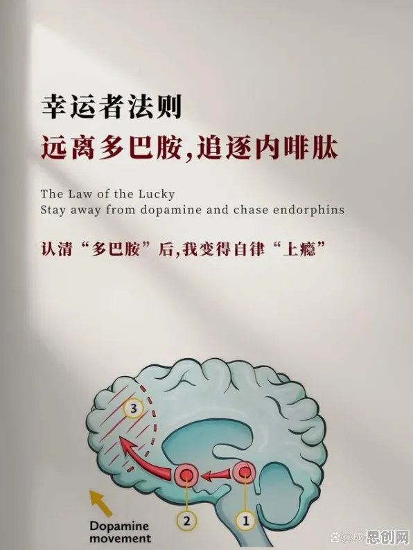 用多巴胺机制解释反向旅游悄然兴起,一切都说得通了 用多巴胺机制解释反向旅游悄然兴起,一切都说得通了