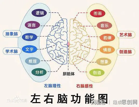 记忆科学最新研究，松弛感成为新追求背后有这个规律