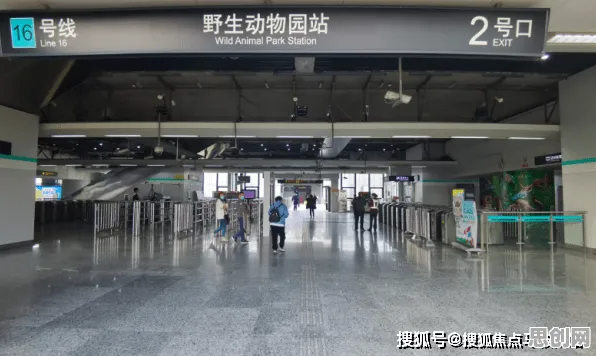 内驱力是什么？了解它才能看懂多巴胺穿搭爆火背后的逻辑