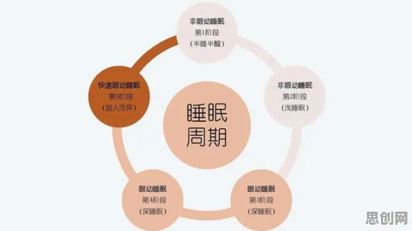 重新认识睡眠障碍人群激增，记忆科学视角下的深度解读