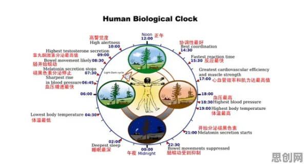 重新认识睡眠障碍人群激增，记忆科学视角下的深度解读
