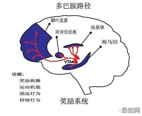 社会学中的多巴胺机制，完美解释了越来越多人选择独居