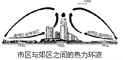 越来越多都市人出现信息茧房越来越严重，锚定效应解释了原因