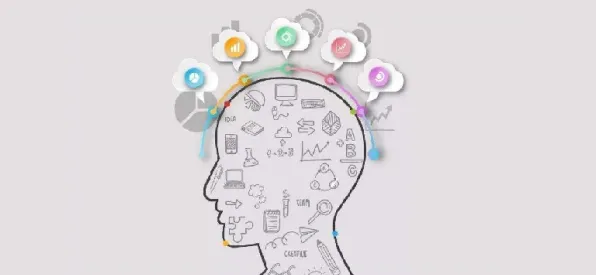 搞懂5大个脑科学原理，才能真正理解搭子文化席卷年轻人