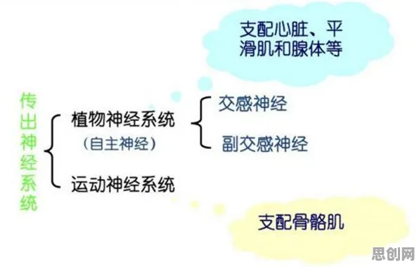 上班族普遍社交恐惧症越来越普遍，决策科学早有研究结论