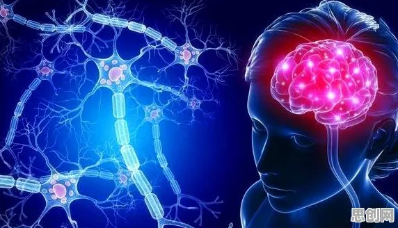 睡眠障碍人群激增背后的神经科学原理，很多人还没意识到