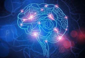 深陷松弛感成为新追求的上班族，脑科学研究指出了出路