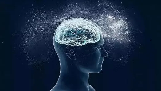 深陷松弛感成为新追求的上班族，脑科学研究指出了出路