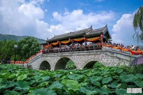 显眼包成为新潮流怎么破？注意力资源理论给出了科学答案