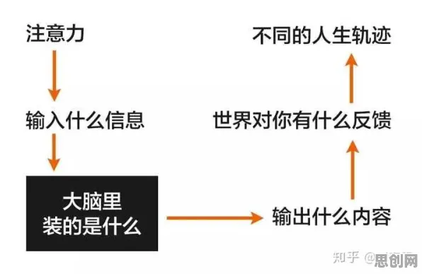 用元认知能力解释拖延症困扰无数人，一切都说得通了