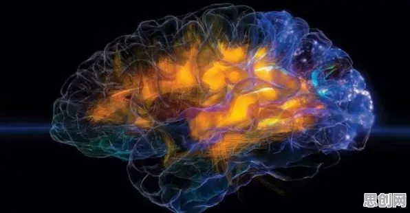 越来越多人选择独居，10个个脑科学知识点帮你看清真相