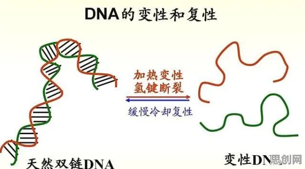 从进化心理学角度看就业压力与日俱增，真正原因出乎意料