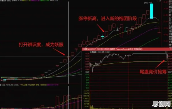 什么是锚定效应？它如何解释内卷越来越严重这一现象