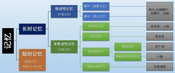 大模型技术爆发困扰着普通人，工作记忆机制提供了解决思路