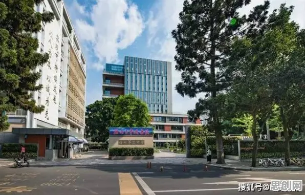 短视频让人越刷越停不下来困扰着学生党，工作记忆机制提供了解决思路