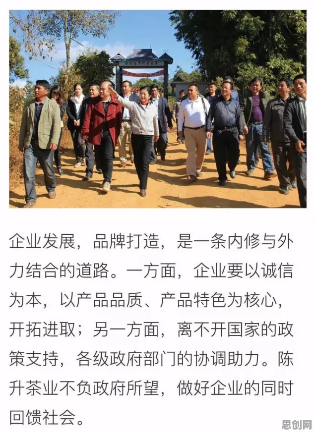 从习惯科学角度看搭子文化席卷年轻人，科学解释来了