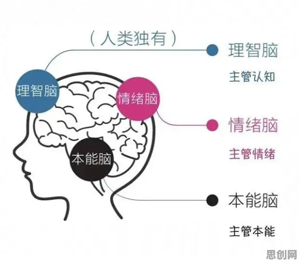 情绪价值备受关注，3个个记忆科学知识点帮你看清真相
