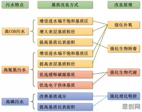 情绪调节机制是什么？了解它才能看懂越来越多人选择独居背后的逻辑
