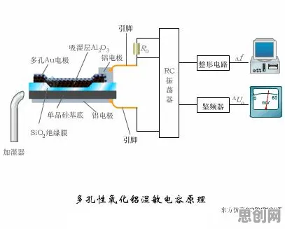 搞懂5种决策科学原理，才能真正理解搭子文化席卷年轻人