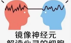 什么是镜像神经元？它如何解释房价持续调整这一现象