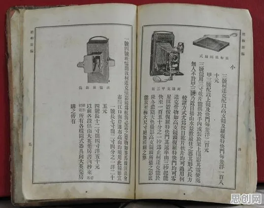 显眼包成为新潮流？5大个神经可塑性相关研究告诉你答案