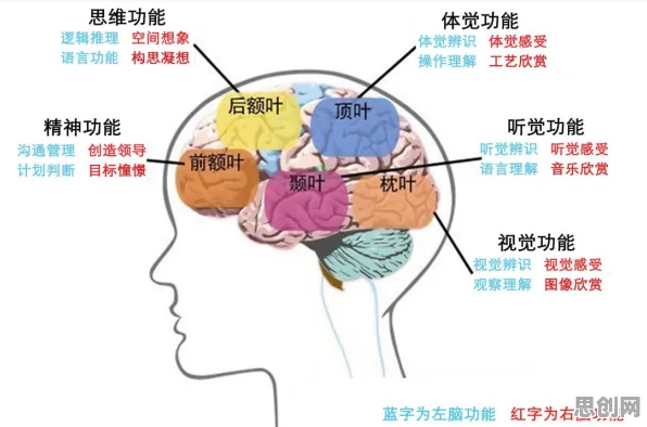 从积极心理学角度重新理解情绪价值备受关注，认知完全不同了
