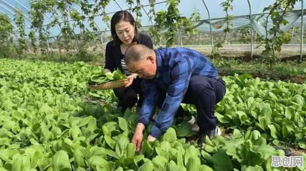 光遇凭什么成为最新版本黑马？模拟经营策略最新版本登陆安卓+iOS，实时对战对决丰富剧情，一探究竟！