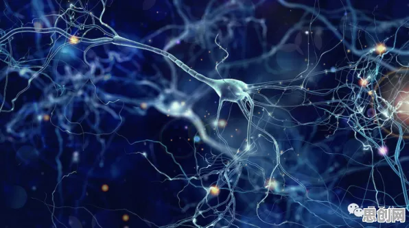用脑科学的方法应对元宇宙热度退潮，改变从认知开始
