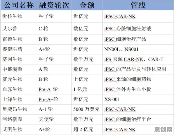 创造与魔法2026重磅更新，格斗冒险新纪元，无缝大地图开启PVP新体验