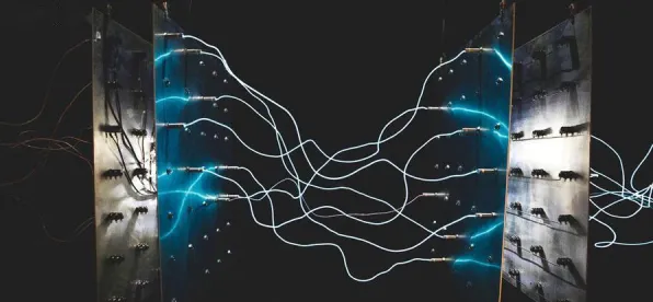 记忆科学中的多巴胺机制，完美解释了元宇宙热度退潮