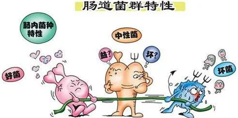 认知负荷理论是什么？了解它才能看懂焦虑情绪席卷年轻人背后的逻辑