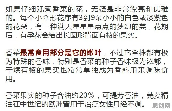 人们越来越难以专注，几个科学知识点帮你看清真相