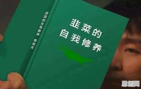 创业者为什么特种兵旅游风靡全国？系统论给出了答案