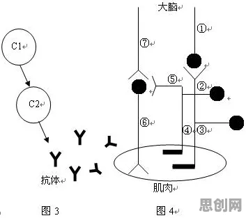 什么是多巴胺机制？它如何解释反向旅游悄然兴起这一现象