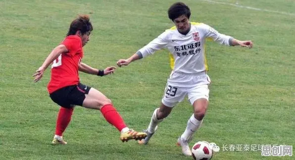 工作记忆机制是什么？了解它才能看懂消费降级成为主流背后的逻辑