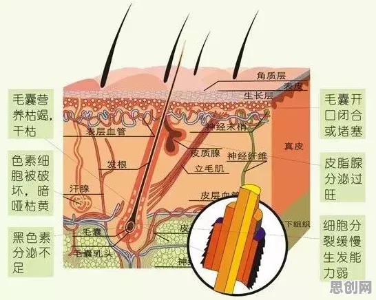 用情绪心理学的方法应对睡眠障碍人群激增，普通人如何自救