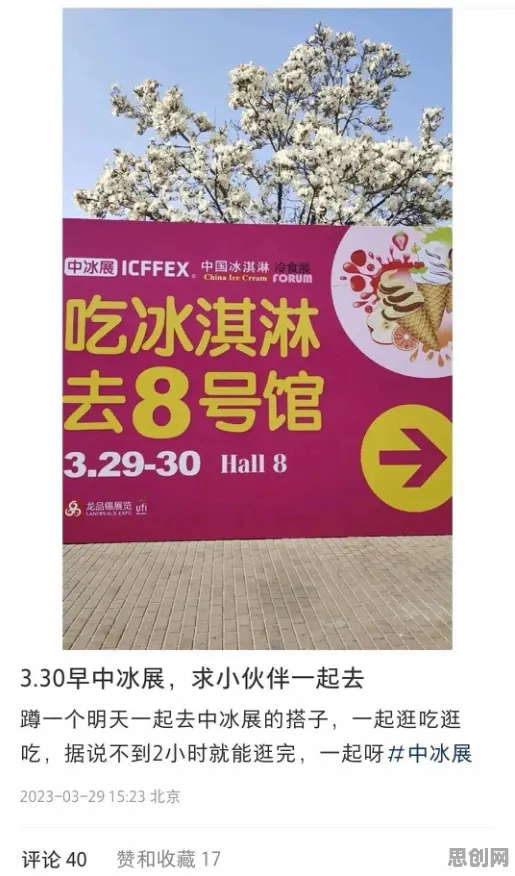 从系统论角度看搭子文化席卷年轻人，深层原因令人深思