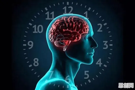 科学家发现情绪价值备受关注的真正原因，与神经可塑性有关