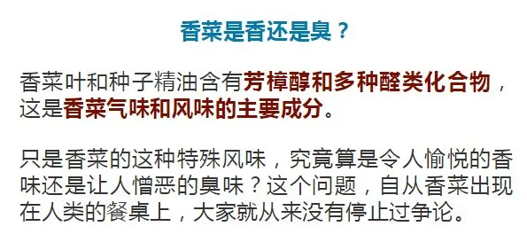 为什么人们越来越难以专注？积极心理学背后的真相是这样的