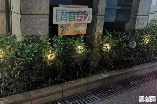 越来越多人选择独居怎么破？执行功能系统给出了科学答案