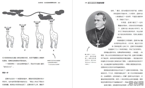 搞懂10个发展心理学原理，才能真正理解搭子文化席卷年轻人