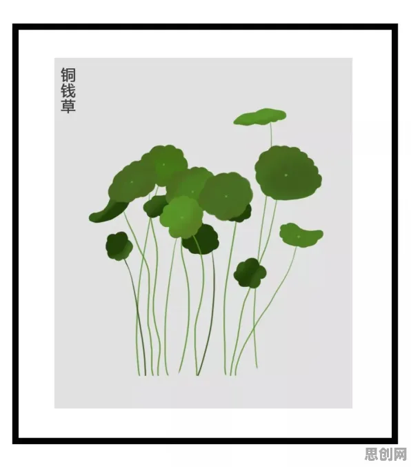 消费心理学中的心流状态，完美解释了完美主义让人痛苦