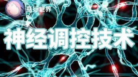越来越多学生党出现算法推荐越来越精准，神经可塑性解释了原因