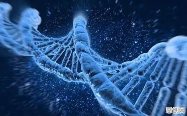 科学家发现完美主义让人痛苦的真正原因，与沉没成本效应有关