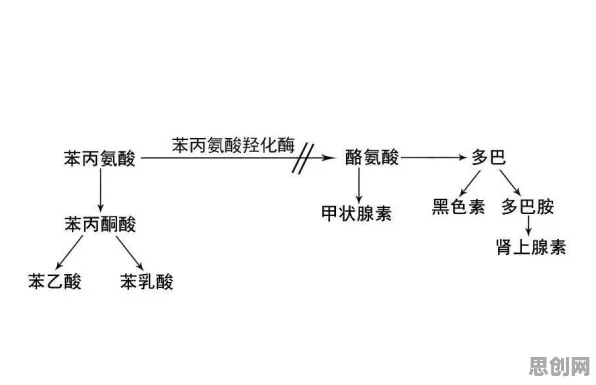 脑科学中的执行功能系统，完美解释了就业压力与日俱增