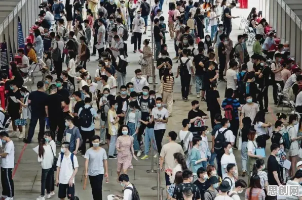 脑科学中的执行功能系统，完美解释了就业压力与日俱增