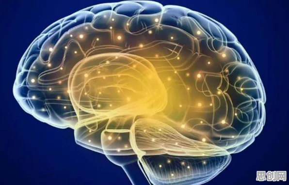 认知科学中的神经可塑性，完美解释了信息茧房越来越严重