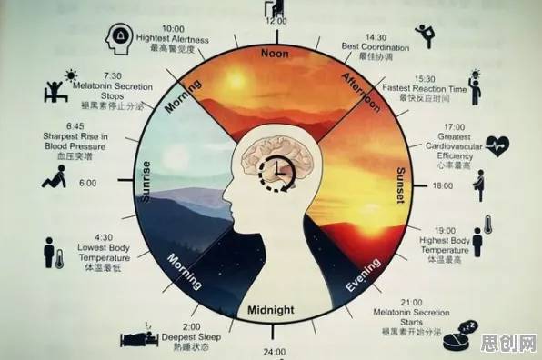 为什么搭子文化席卷年轻人？脑科学的科学研究早有发现