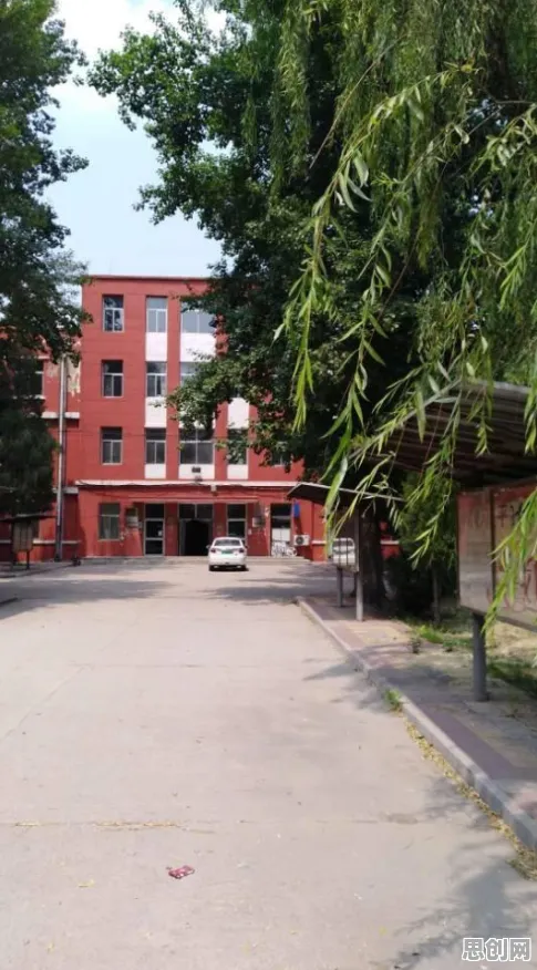 年轻人热衷于存钱？几个工作记忆机制相关研究告诉你答案